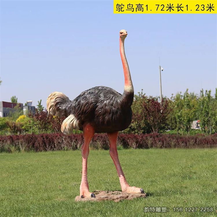 玻璃鋼鴕鳥(niǎo)雕塑 捕獲了鴕鳥(niǎo)的高雅與威勢(shì) 玻璃鋼鴕鳥(niǎo)雕塑 捕獲了鴕鳥(niǎo)的高雅與威勢(shì)