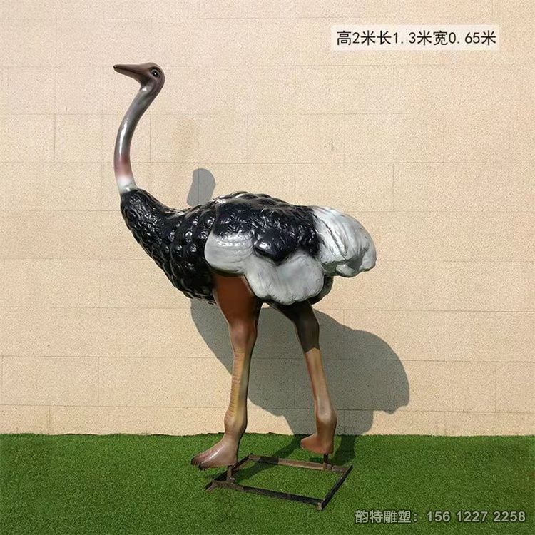 鴕鳥(niǎo)3 鴕鳥(niǎo)3